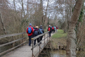 Fontainebleau---Moret-sur-Loing-03-2023-(151)