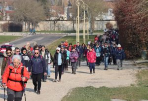 Fontainebleau - Moret-sur-Loing 03-2023 (42)