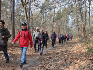 Fontainebleau---Moret-sur-Loing-03-2023-(84)