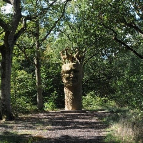 Etre randonneur, ça s’apprend!
Avec l’association « Le Mille-Pattes Servonnais », affiliée au Comité départemental de randonnée de Seine-et-Marne, découvrez les richesses « royales » cachées de la Forêt régionale de Rougeau.
Infos et inscriptions : https://www.iledefrance-nature.fr/sortie/etre-randonneur-ca-sapprend/